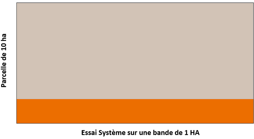 systeme